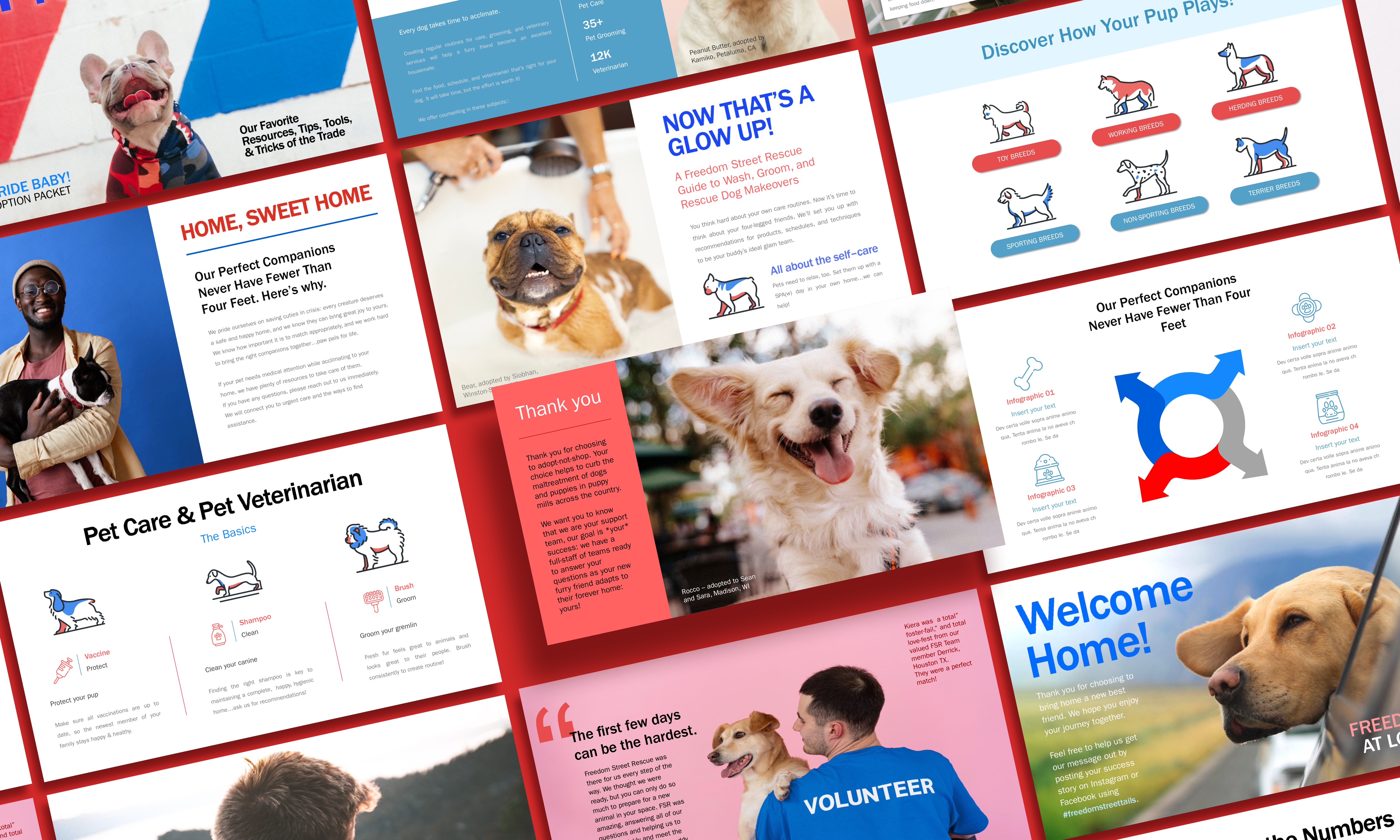 This is an image of a set of presentation slides that are meant for volunteers and new dog owners covering topics that include pet insurance, pet care, grooming, what to expect in the first few days of fostering, and information on different dog breeds. 