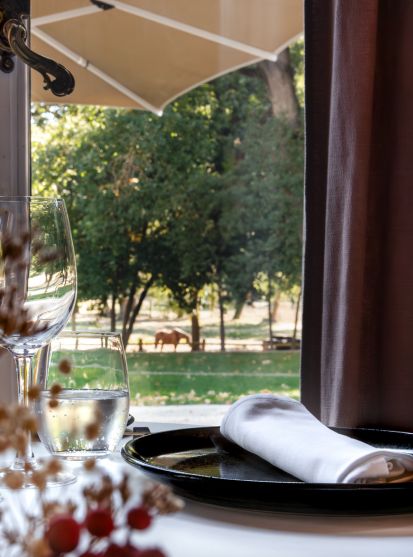 The chef at Domaine de Biar, creator of local and refined gastronomic cuisine.