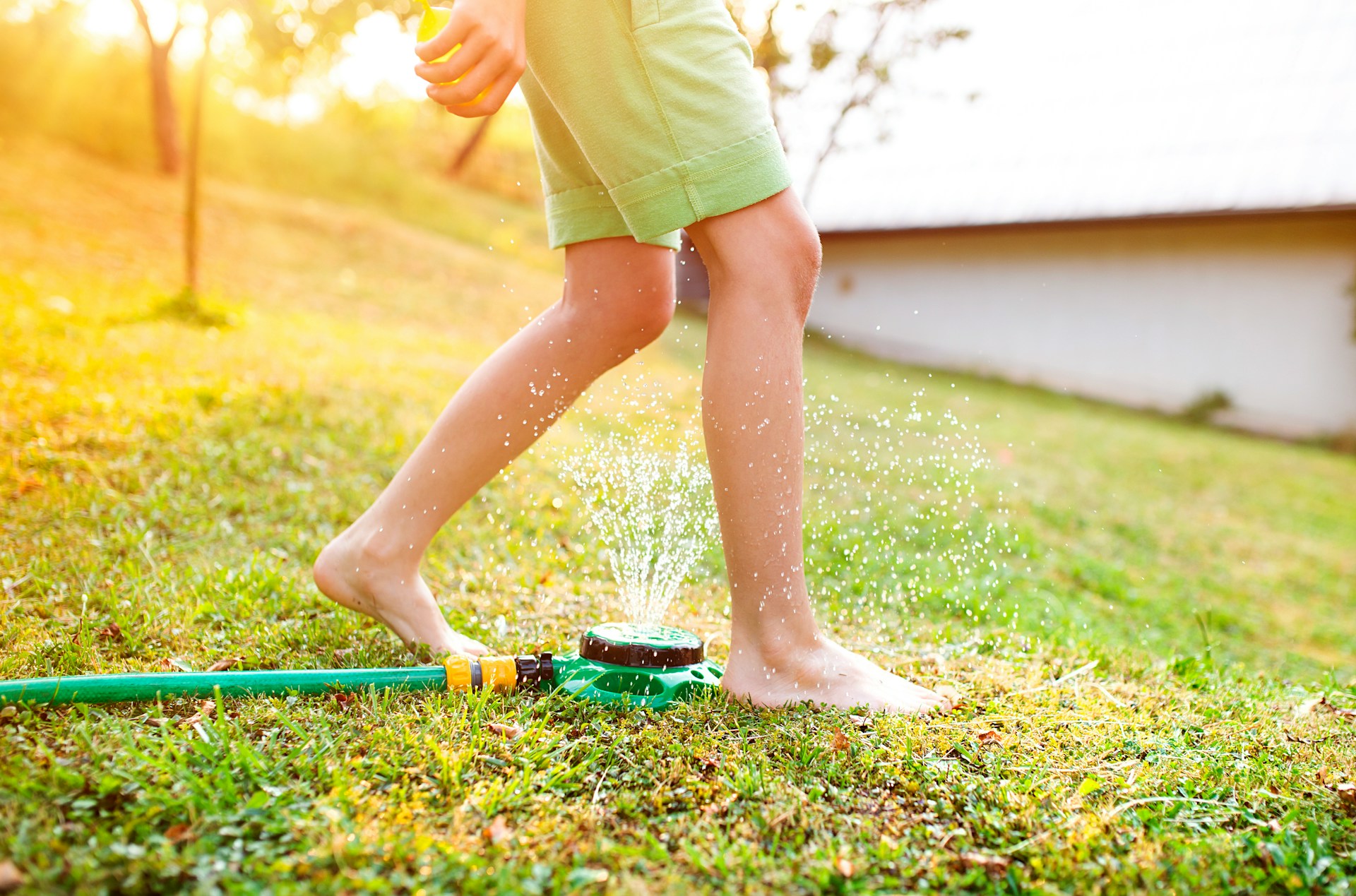 sprinkler system