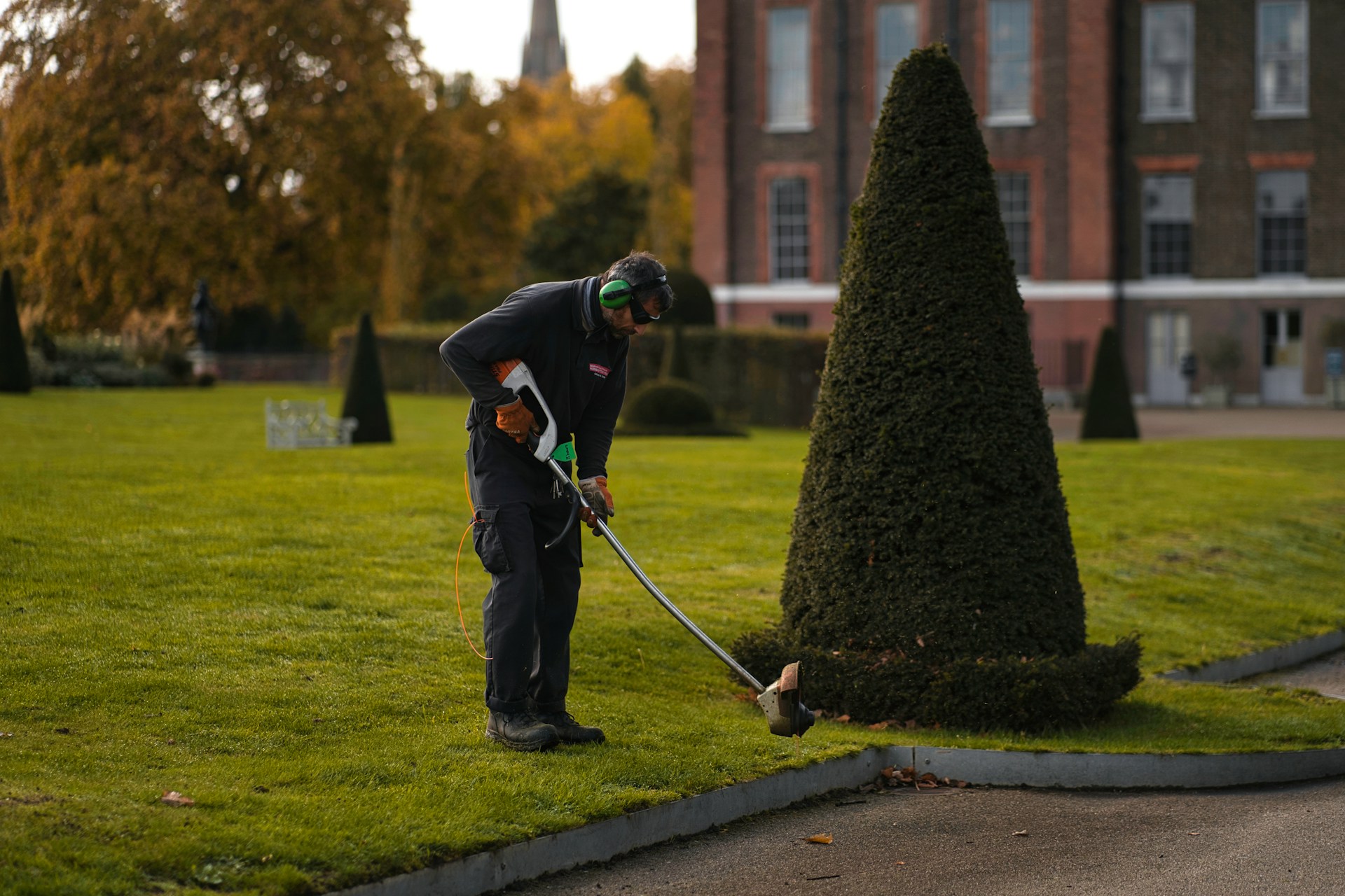lawn maintenance