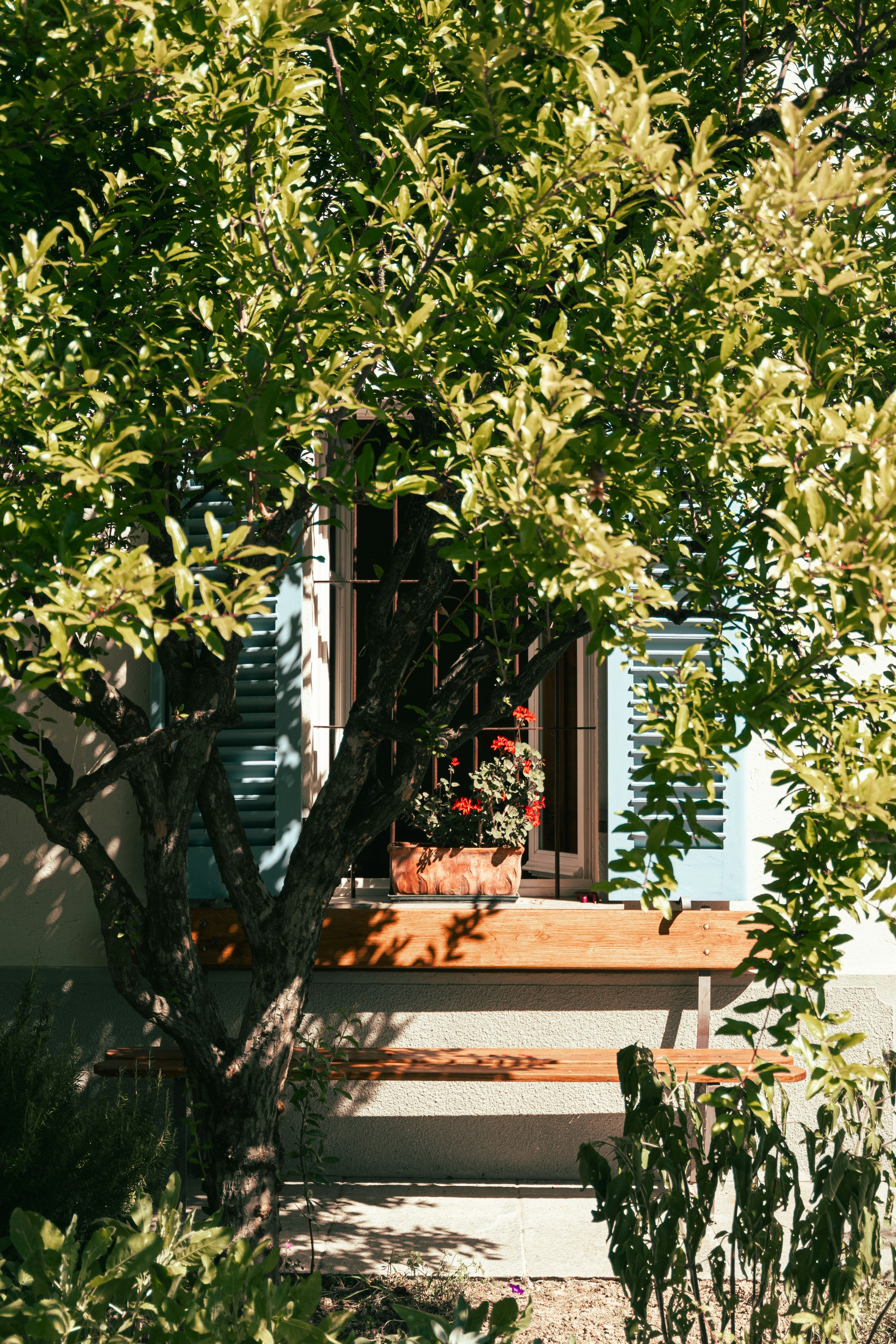 Small Garden, Big Impact: A patio makeover in London