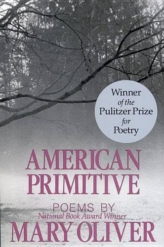 Book cover for "American Primitive"