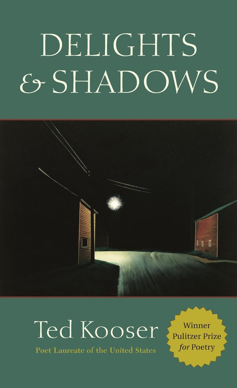 Book cover for Delights and Shadows"