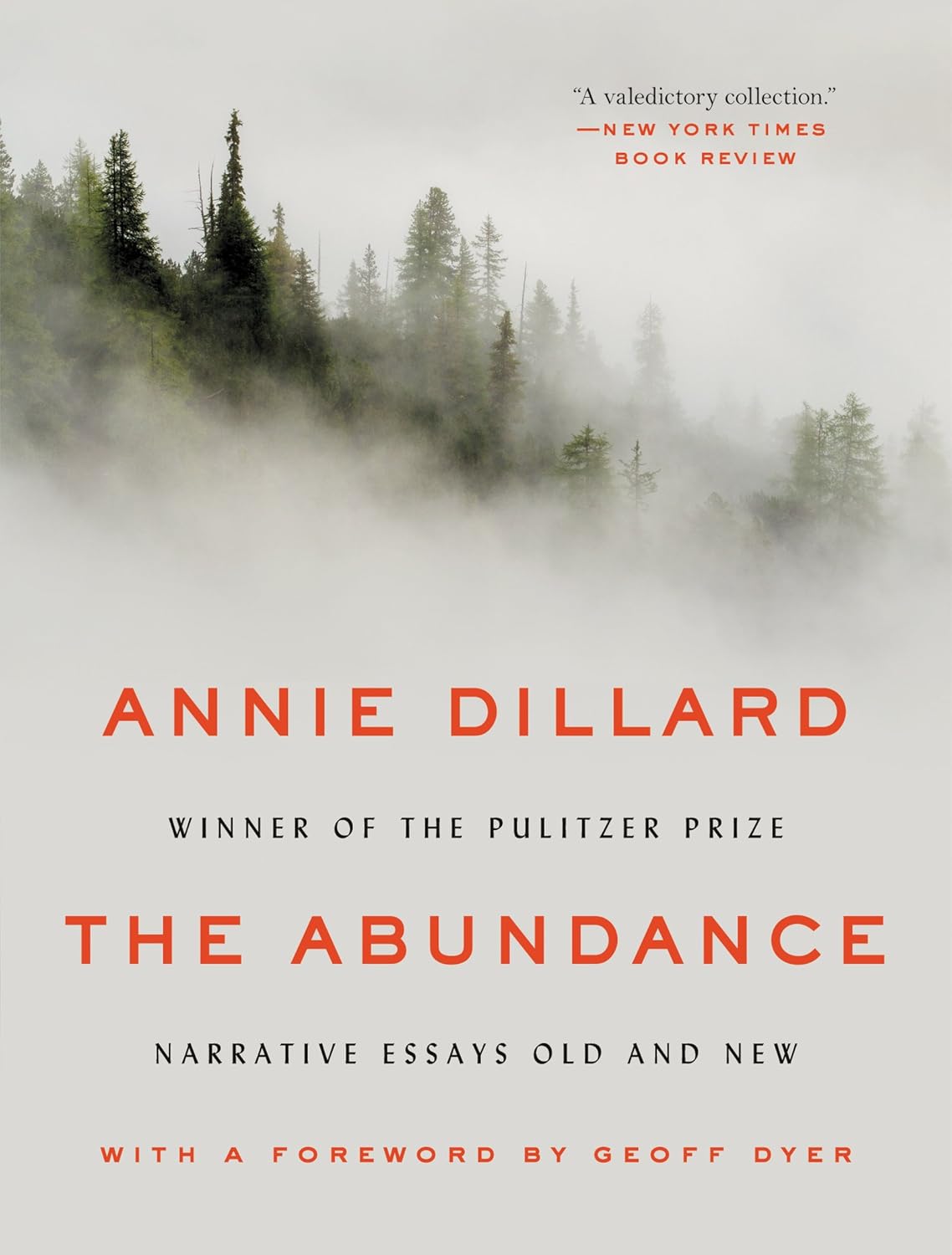 Book cover for "The Abundance"