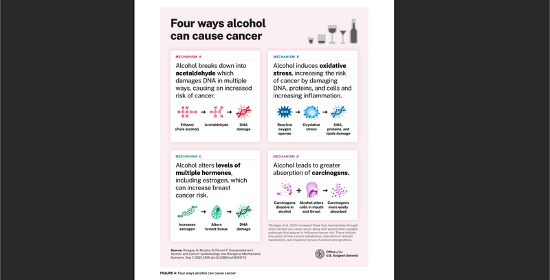 Infographic showing four ways alcohol can cause cancer: breaking down into acetaldehyde, inducing oxidative stress, altering hormone levels, and amplifying effects of other carcinogens