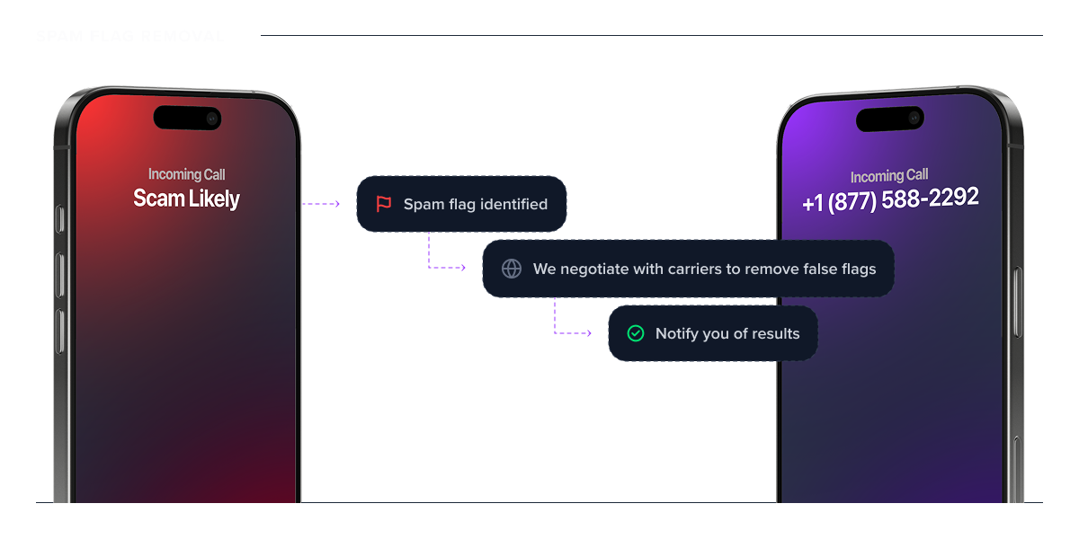 Spam flag removal process