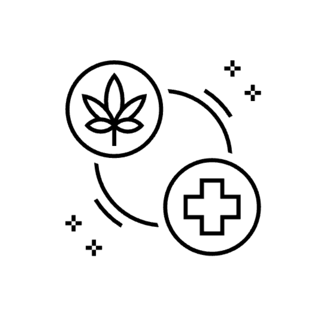 Aniske van der Merwe