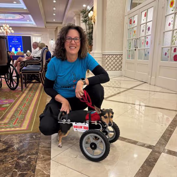 The Impact of Therapy Dogs on Mental Well-being