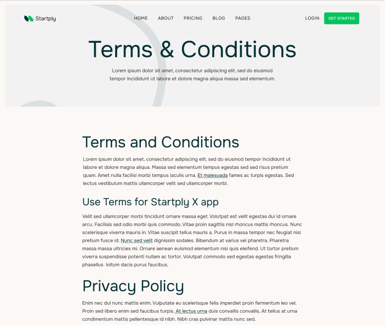 Startply X - Termis & Conditions Page - Multi-Purpose Startup Webflow Template