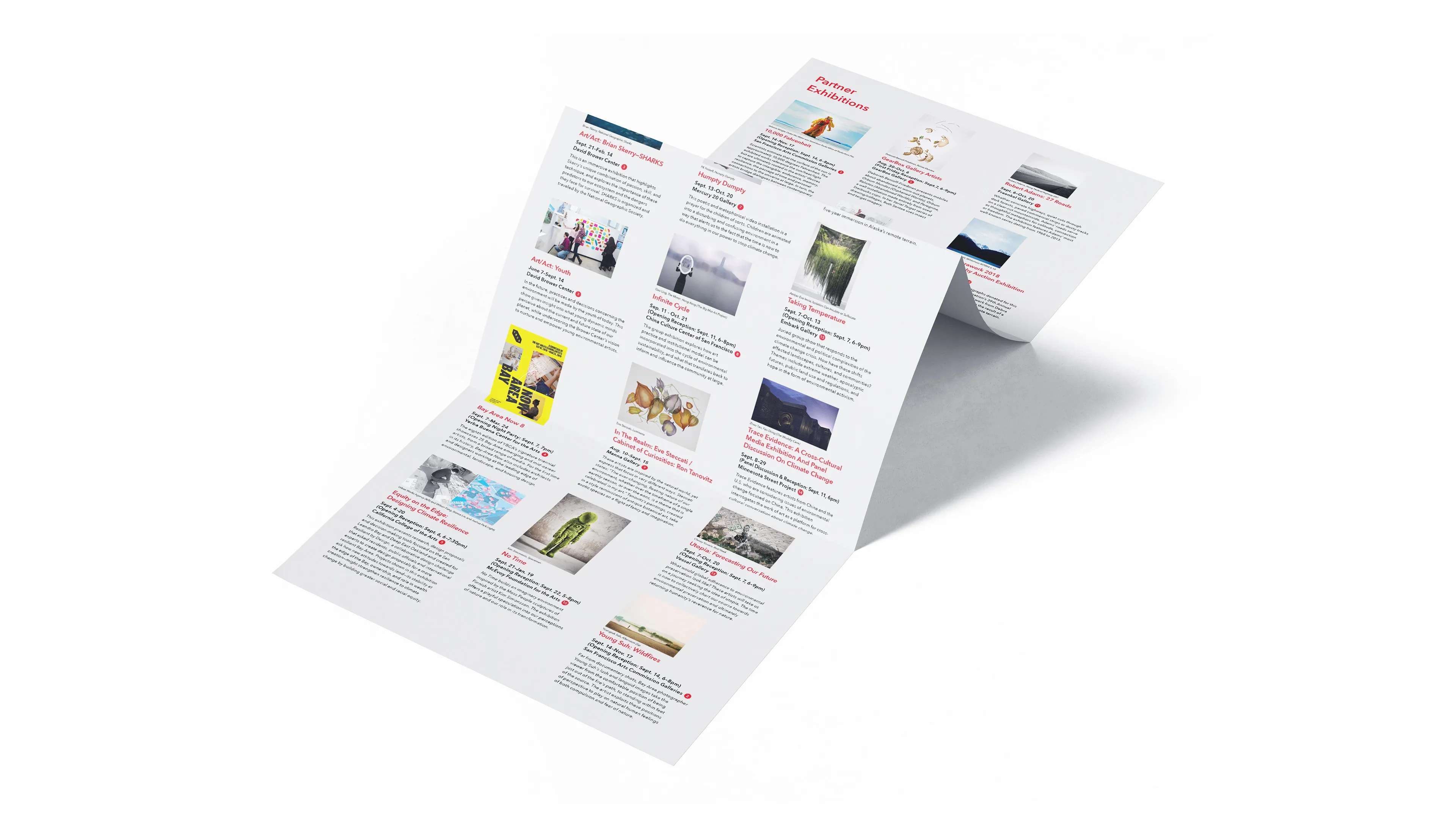 Coal + Ice folded brochure design
