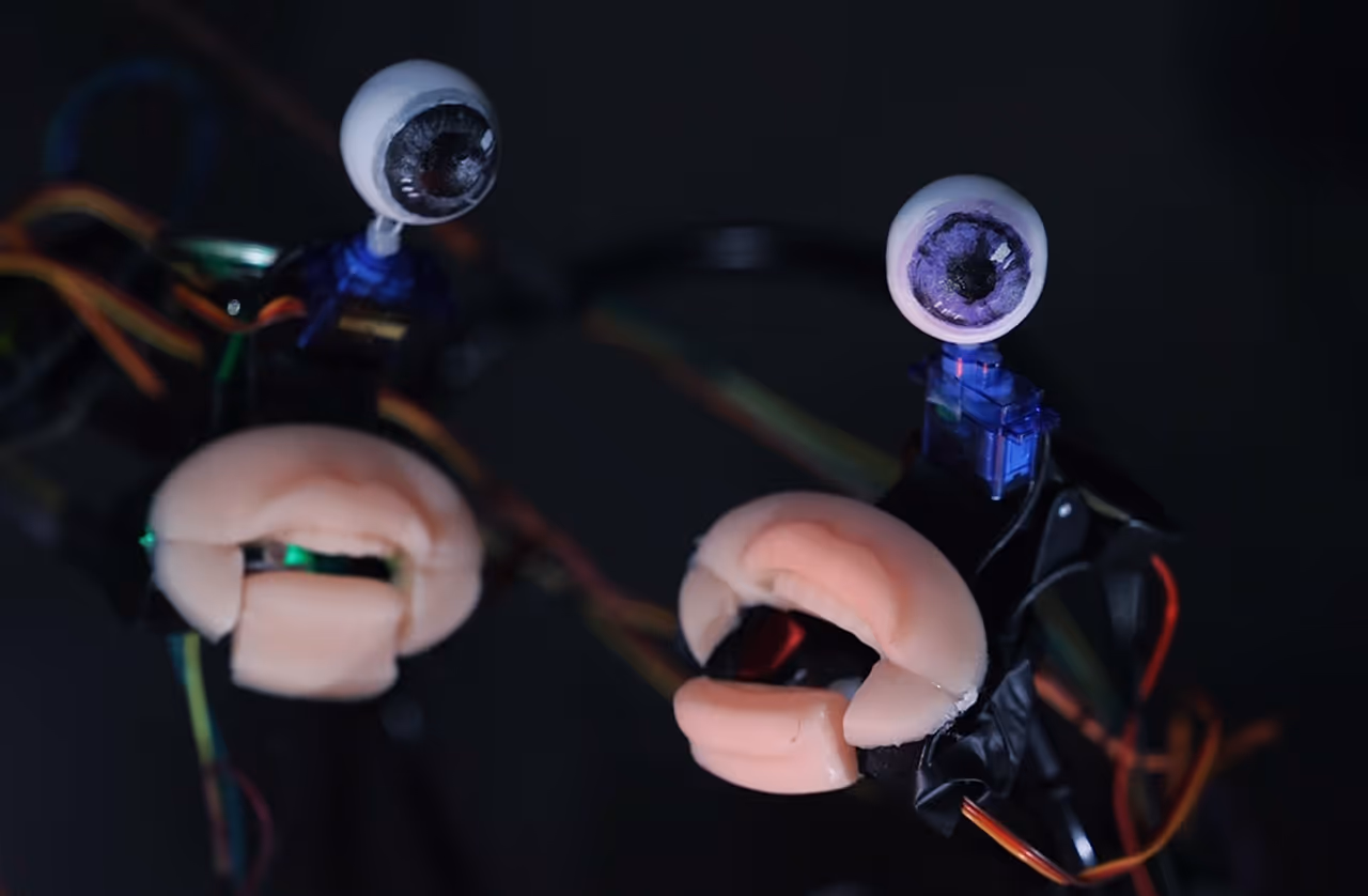 a photo of the installation when mouths are covered