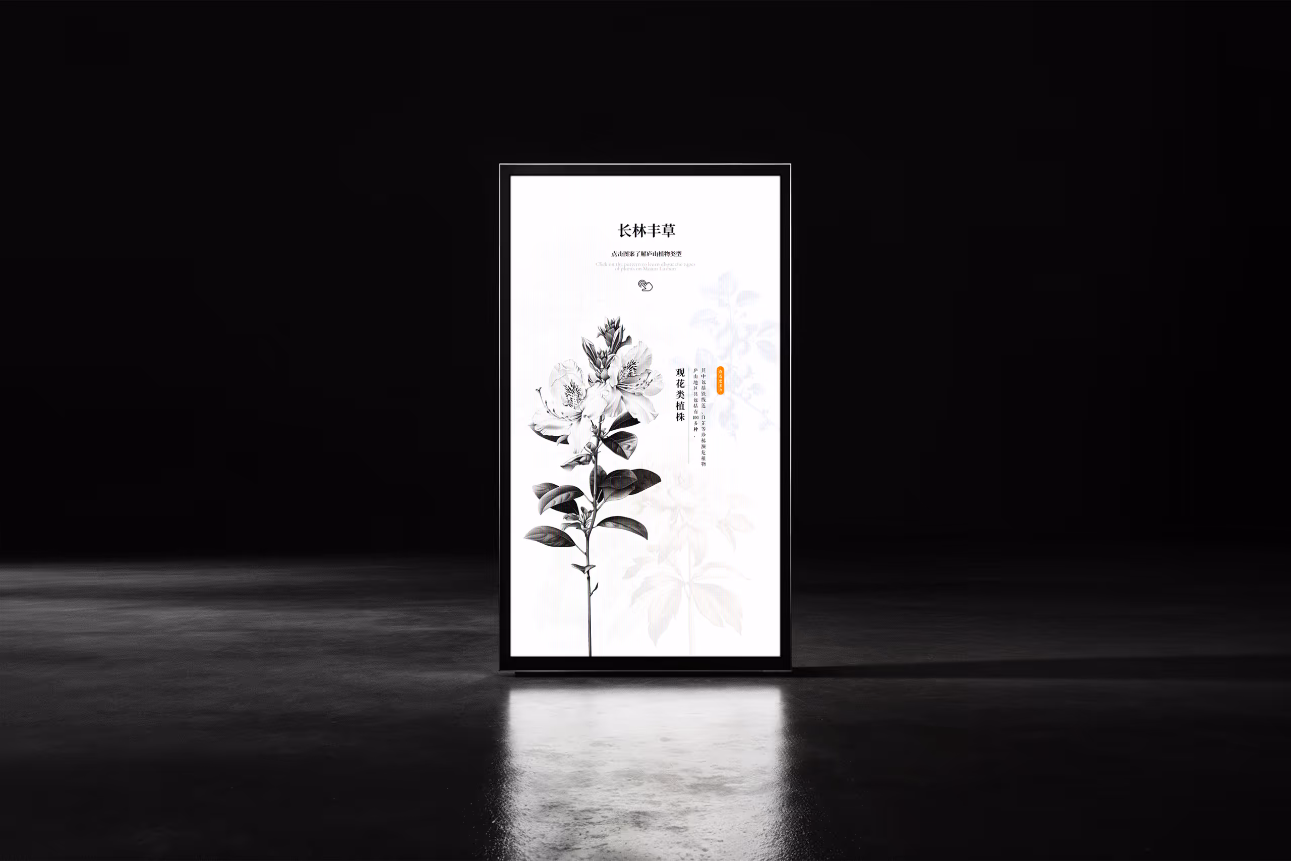 work cover for animal kingdom