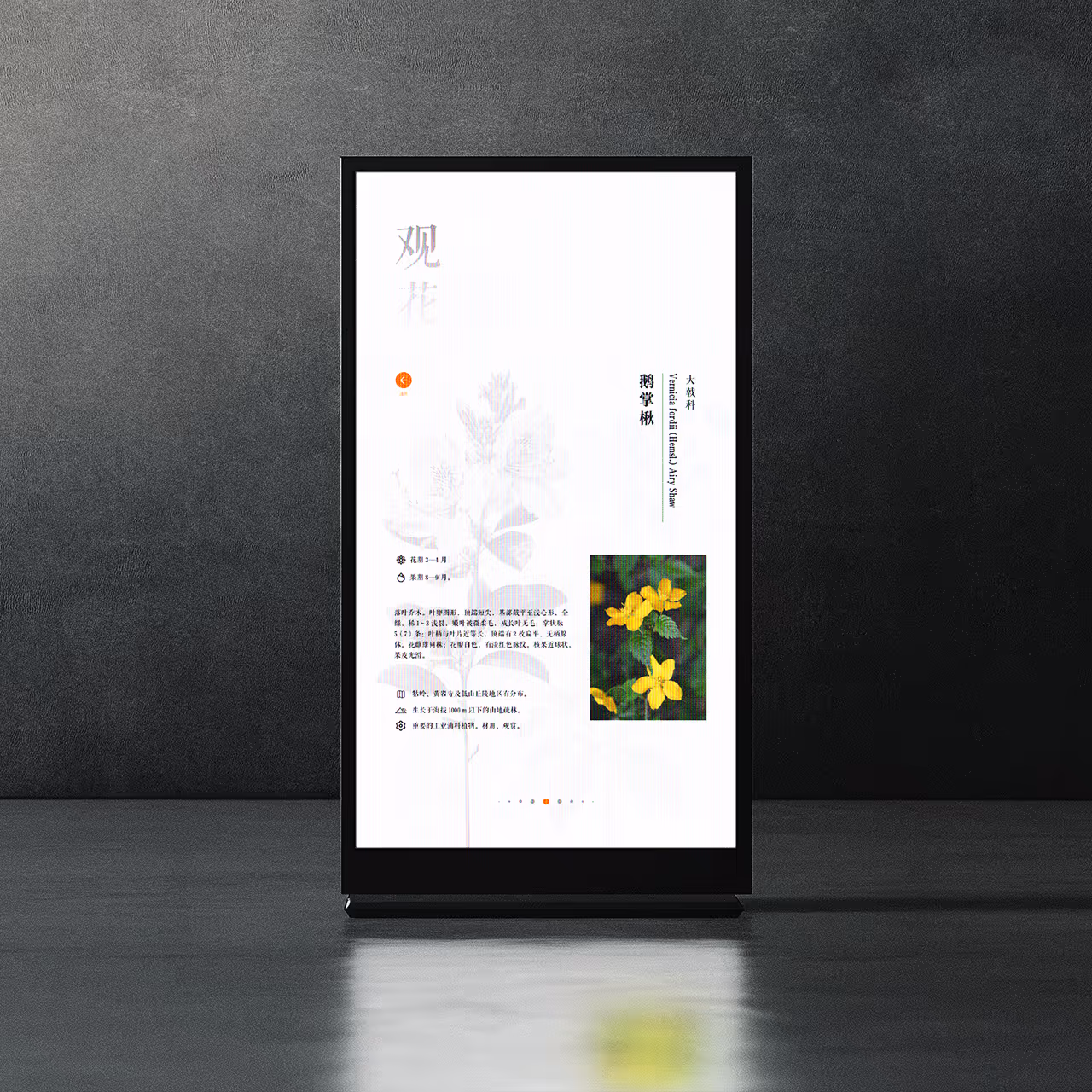 Tertiary Pages of Changlin Breeze