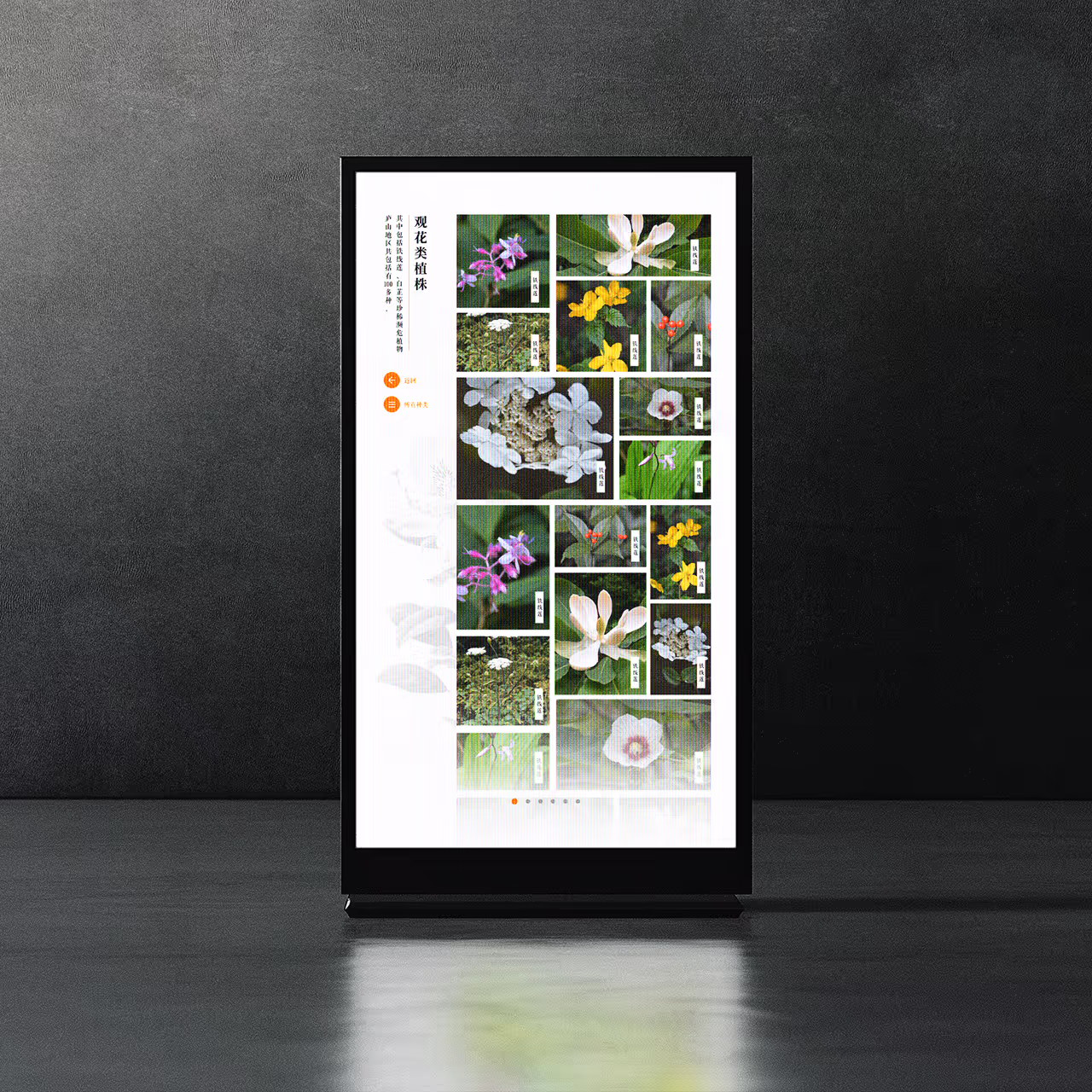 Secondary Pages of Changlin Breeze