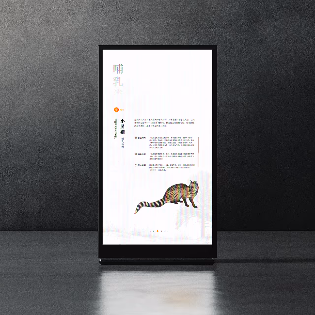 Tertiary Pages of Animal Kingdom