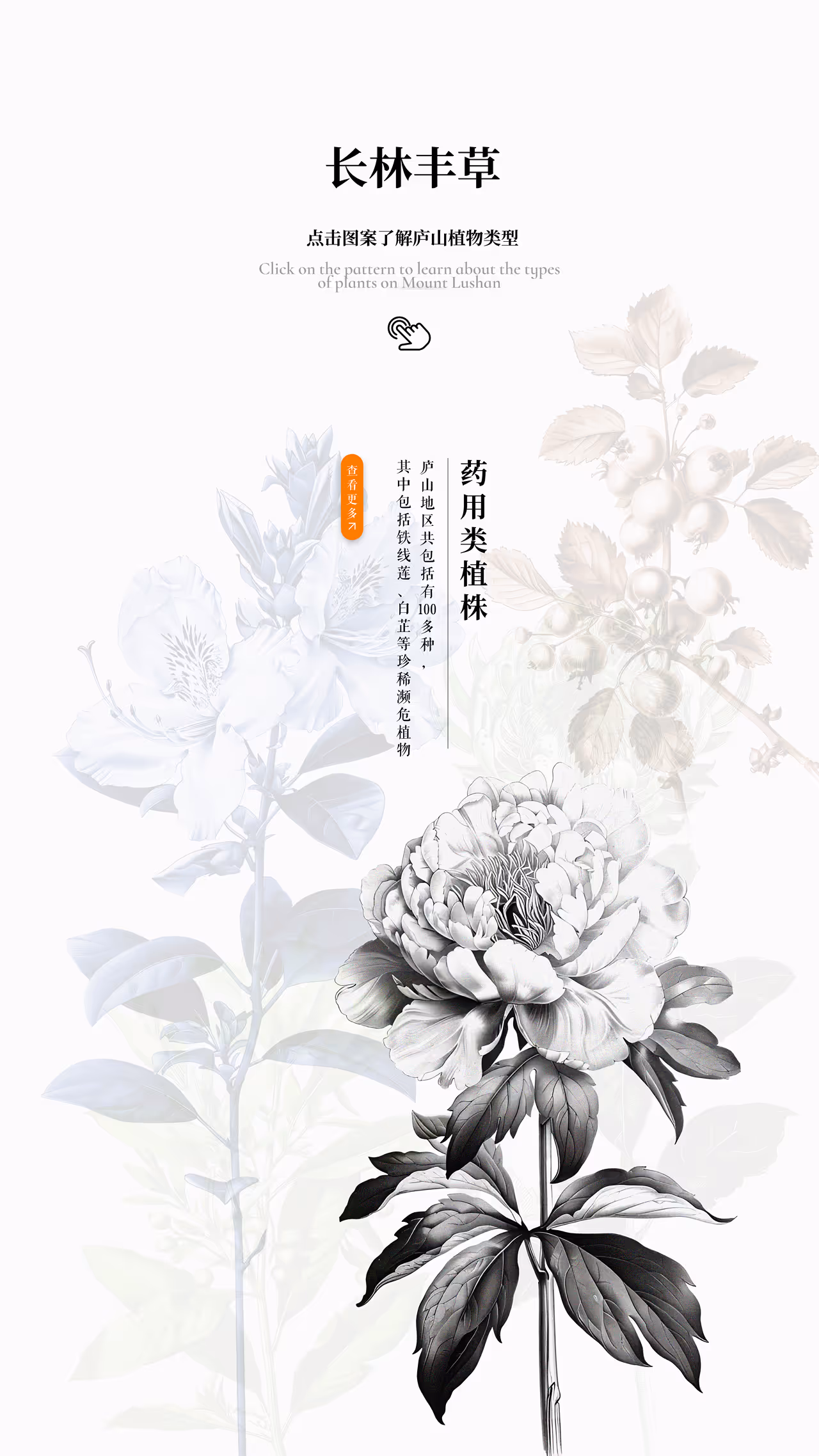 Primary page of Changlin Breeze