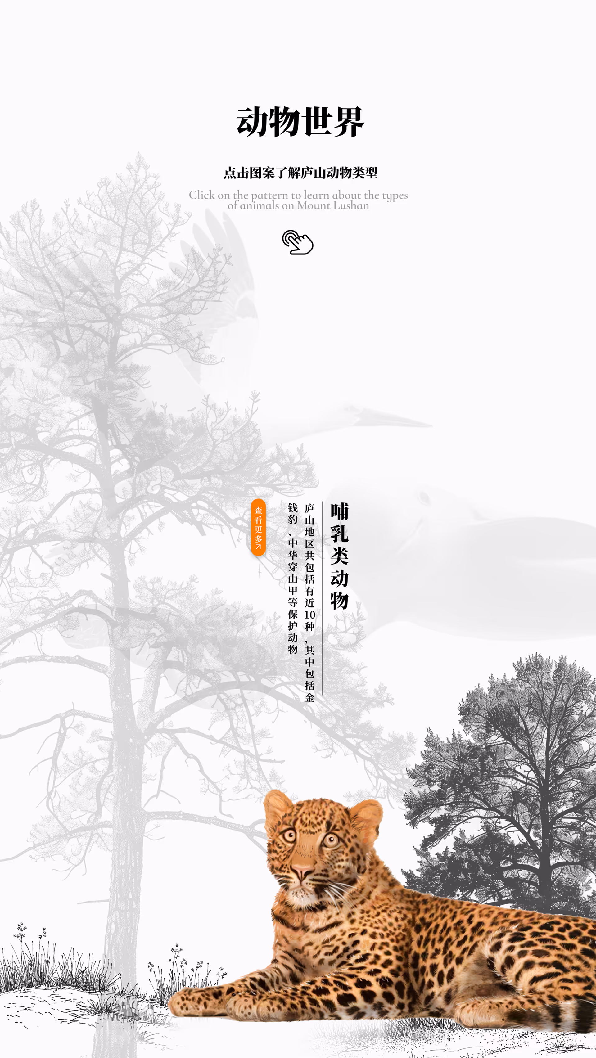 Primary page of Animal Kingdom