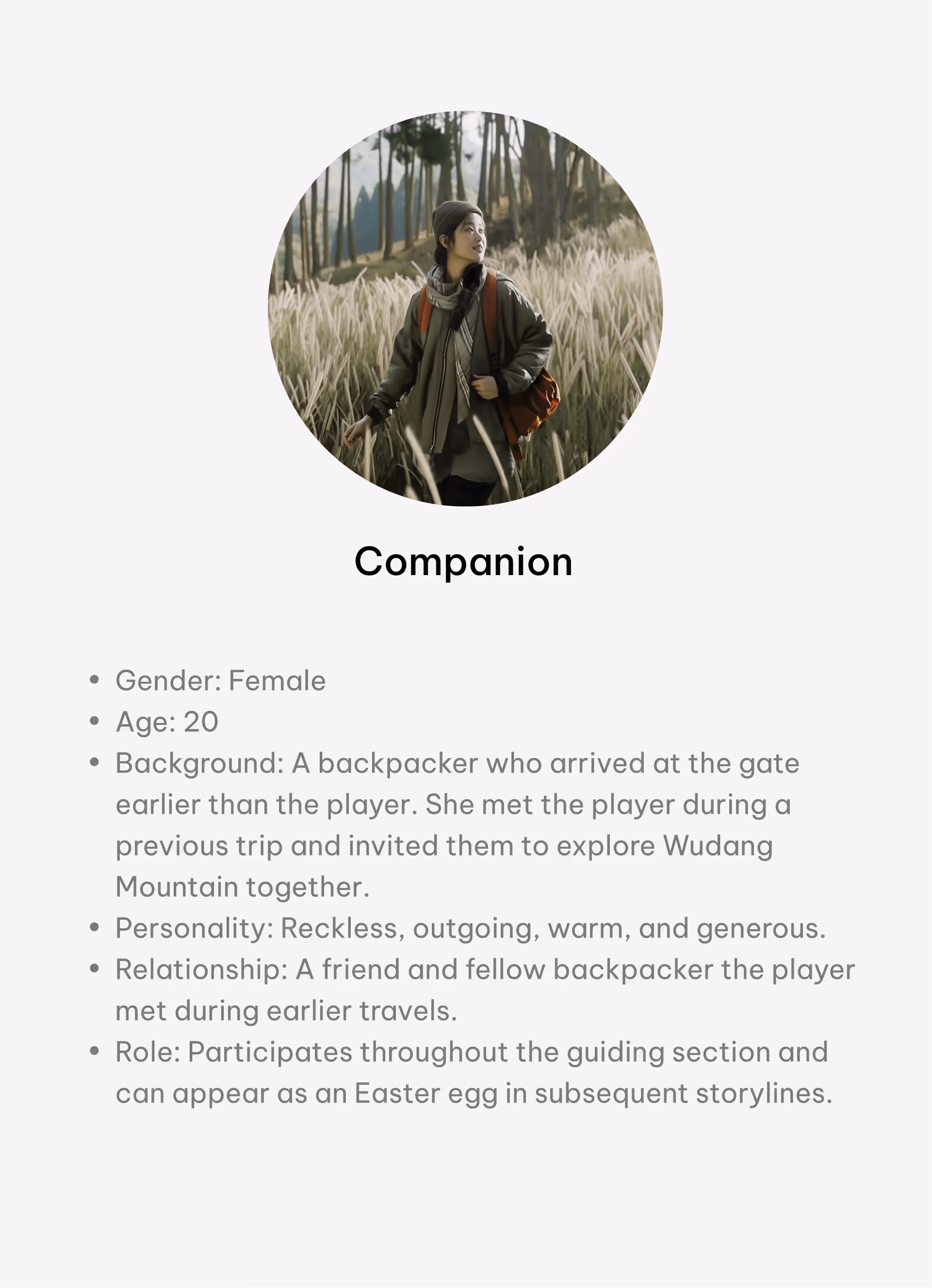 Companion character setting