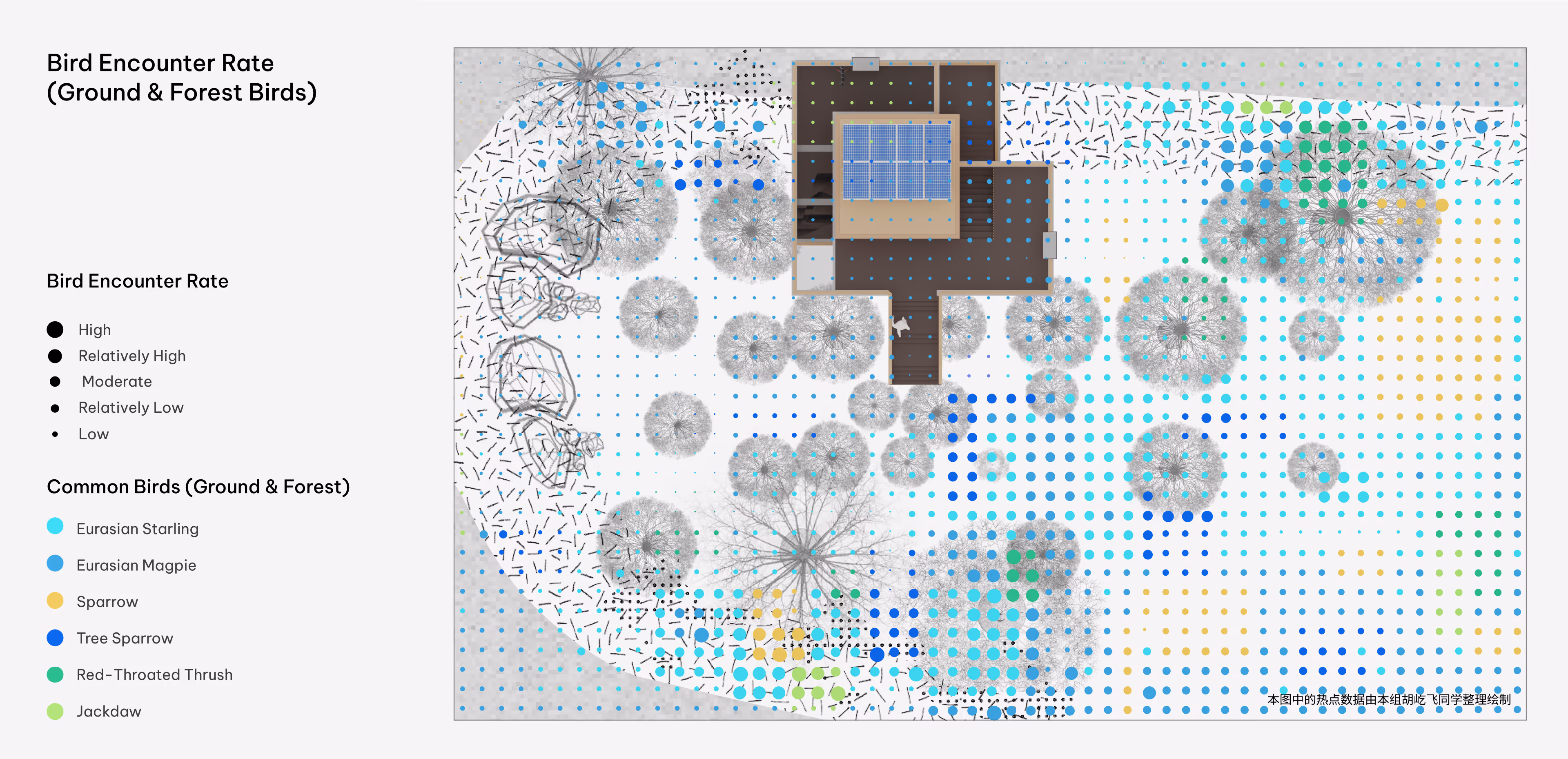 Bird Encounter Rate
(Ground & Forest Birds)