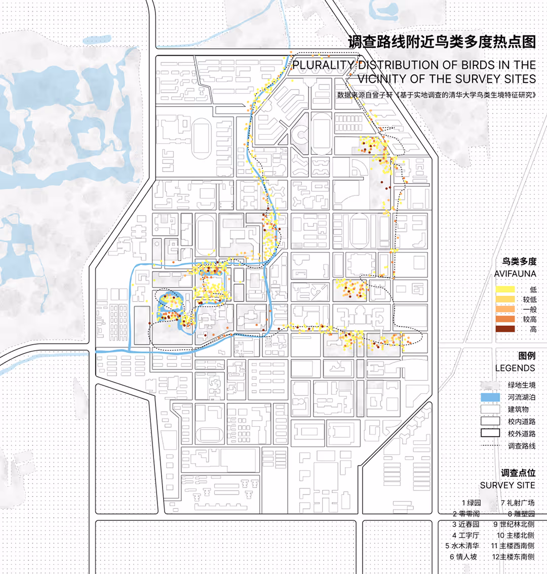 Analysis diagram of Campus Bird Species