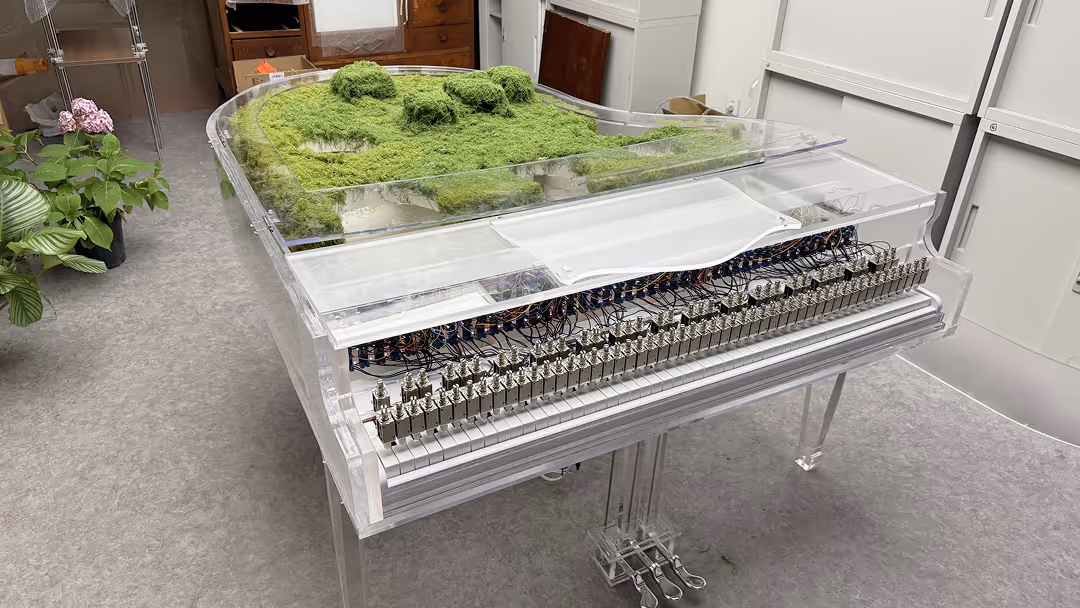 Process documentation of the fabrication and assembly of the Plant Pianist installation, capturing construction stages and material implementation.