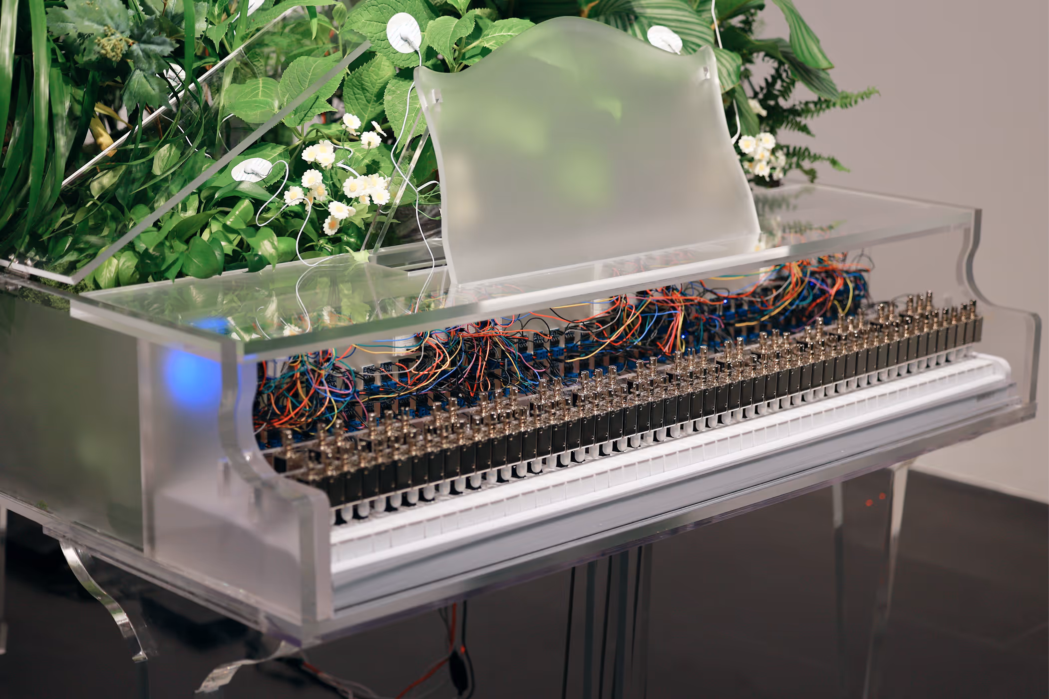 Photograph of the Plant Pianist interactive installation, capturing its physical presence and real-world configuration.