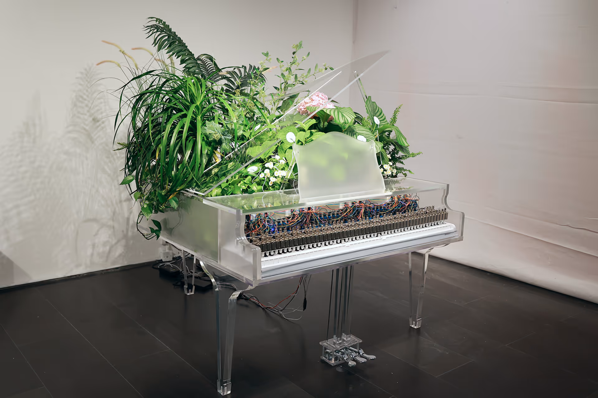 Photograph of the Plant Pianist interactive installation, capturing its physical presence and real-world configuration.