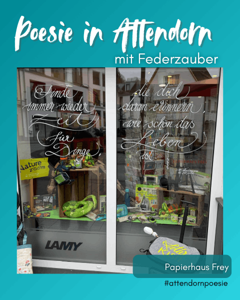 Schaufenster_Papierhaus Frey