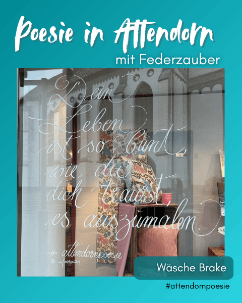 Schaufenster_Wäsche Brake
