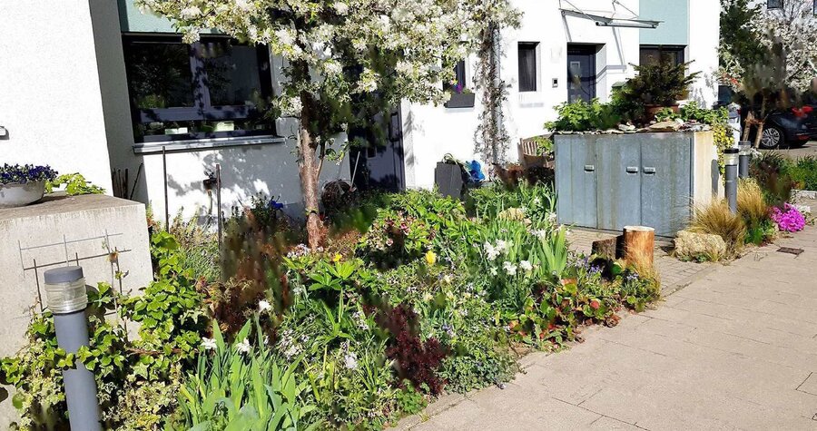 Bild vergrößern: Vorgarten mit verschiedenen Pflanzen vor einem Haus