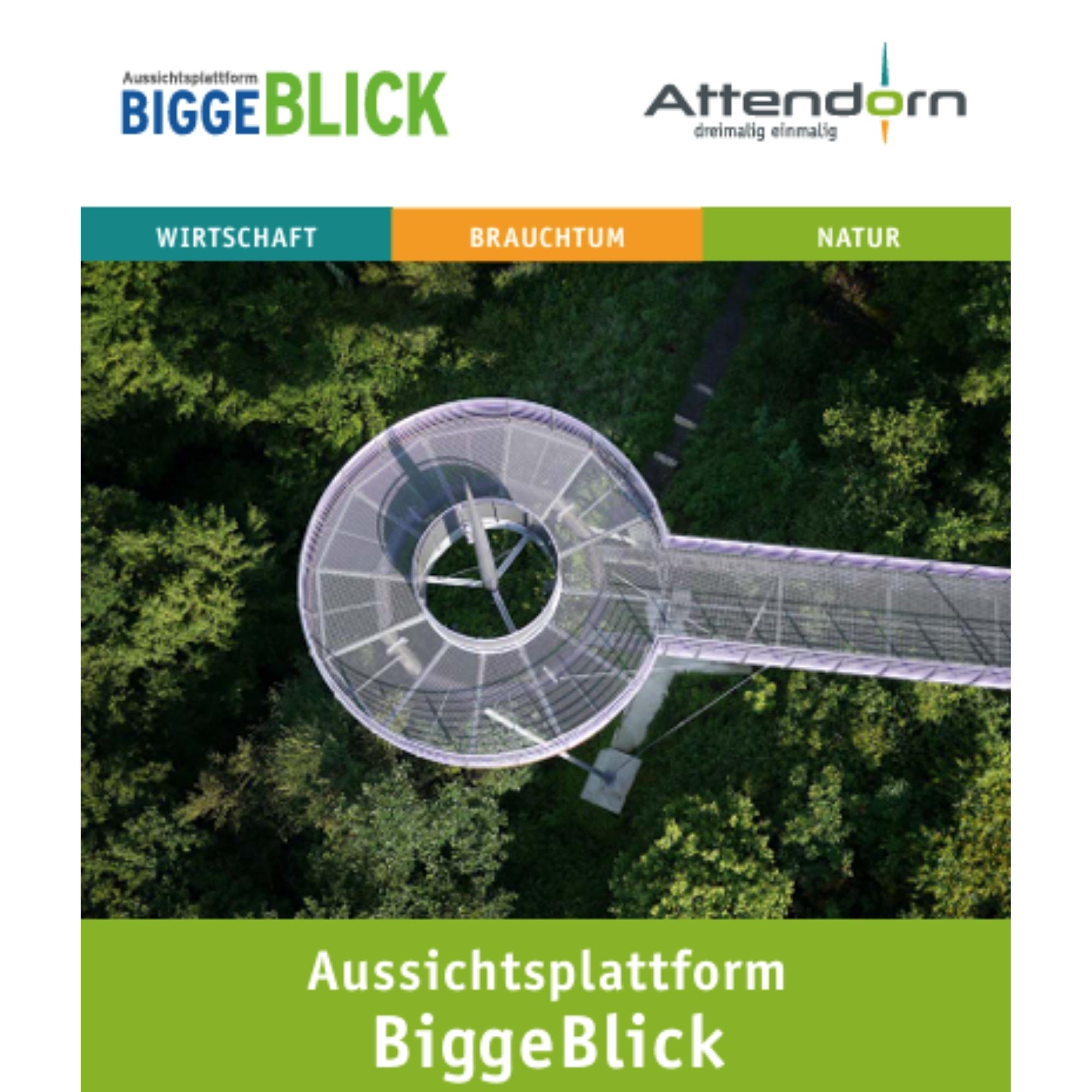 BiggeBlick 