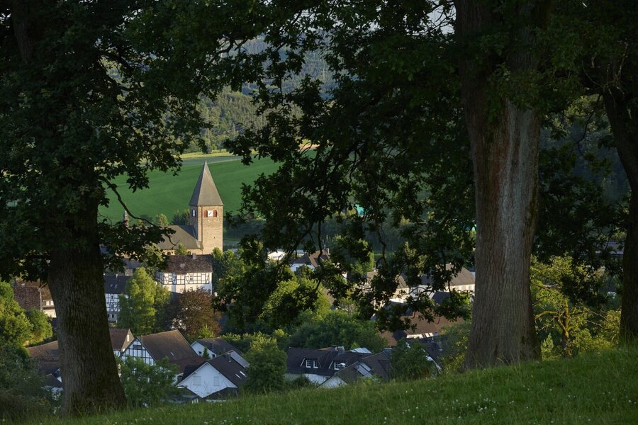 Bild vergrößern: Blick durch Bäume auf ein Dorf.