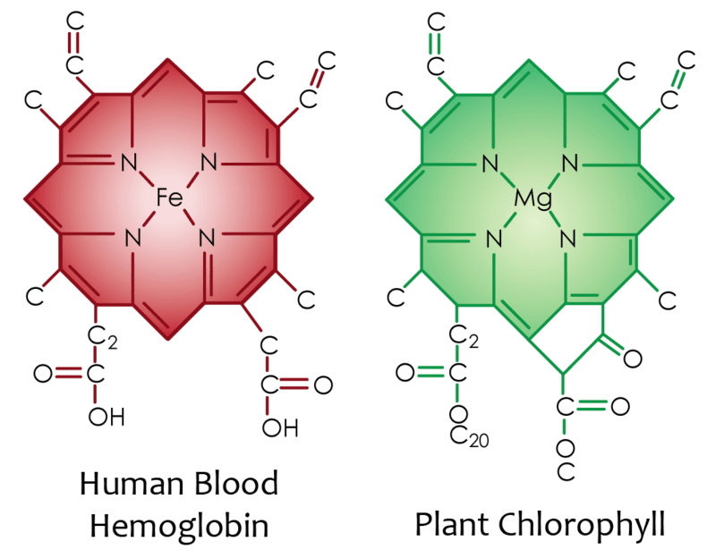 Health benefits of superfoods greens powders