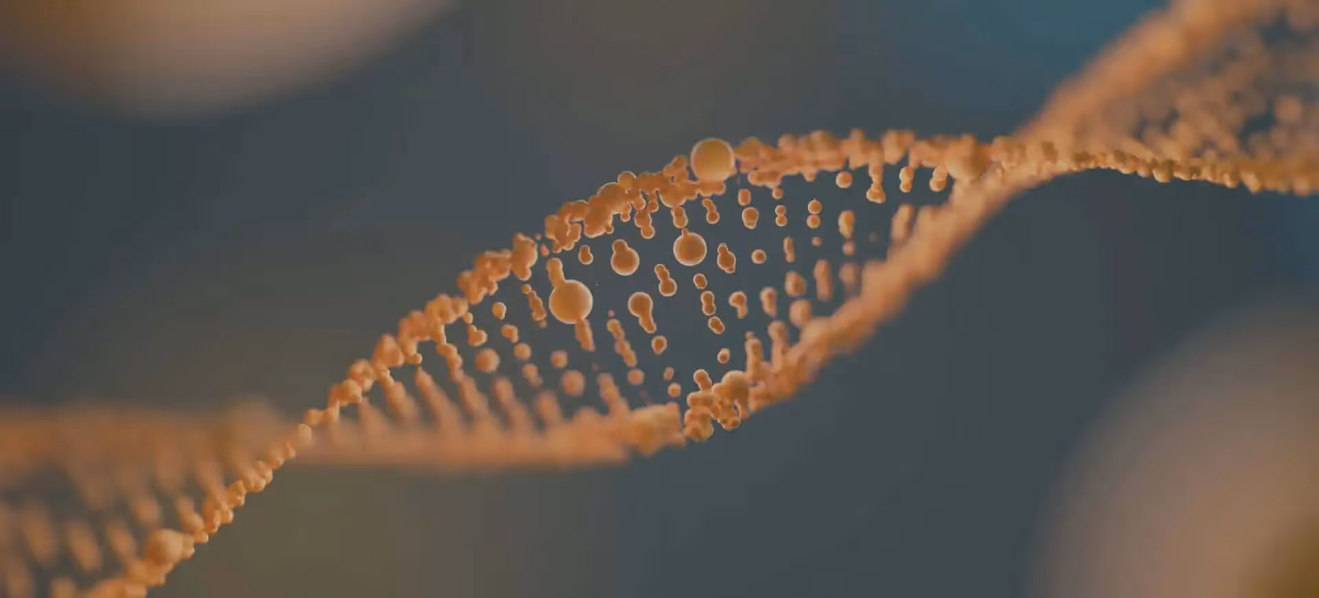 Whole Genome Sequencing vs. Whole Exome Sequencing: What are the Differences?
