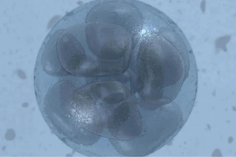 A close up of a ball of ice on a table