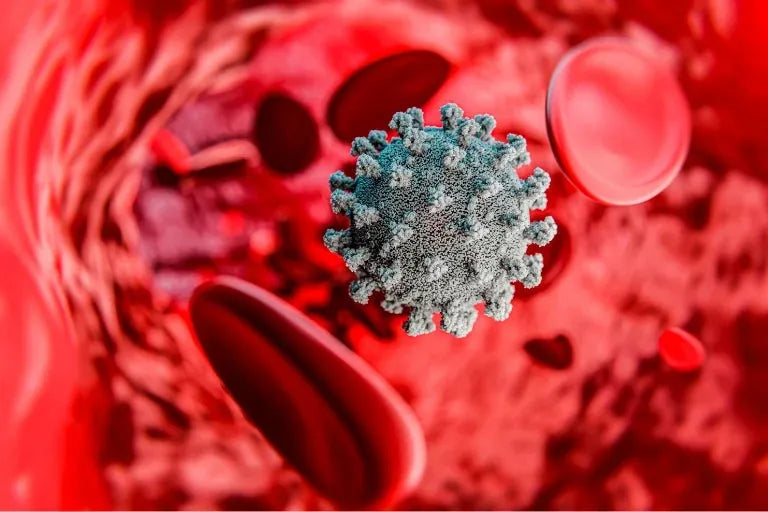 A red blood cell with a blue and gray substance