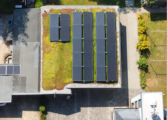 Dach mit grüner Begrünung und mehreren Reihen von schwarzen Solarpanelen im Sonnenlicht.