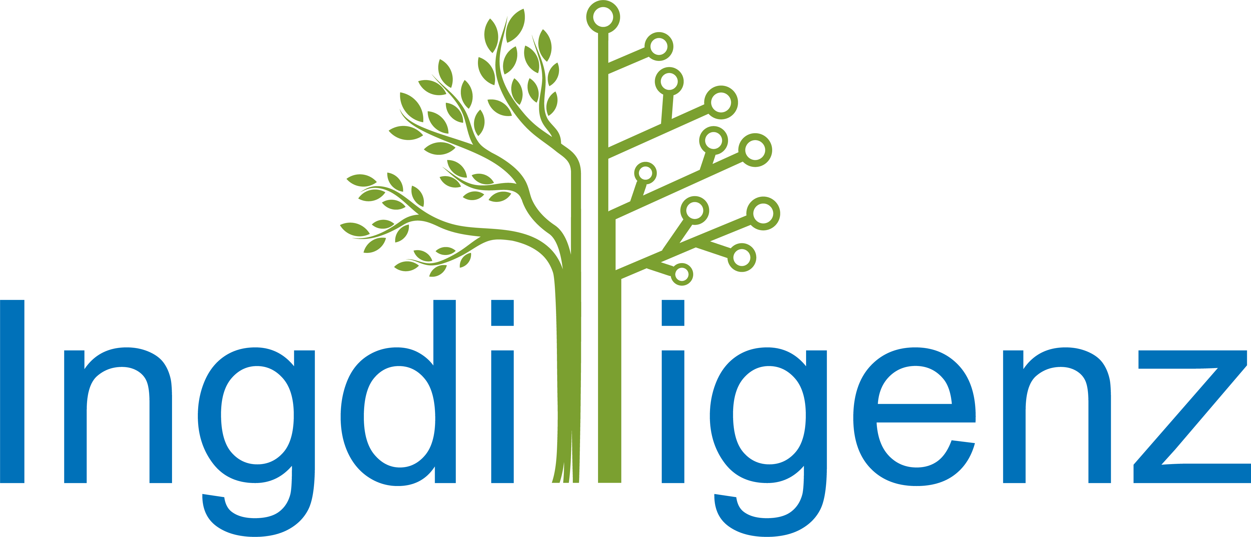 Ingdilligenz GmbH