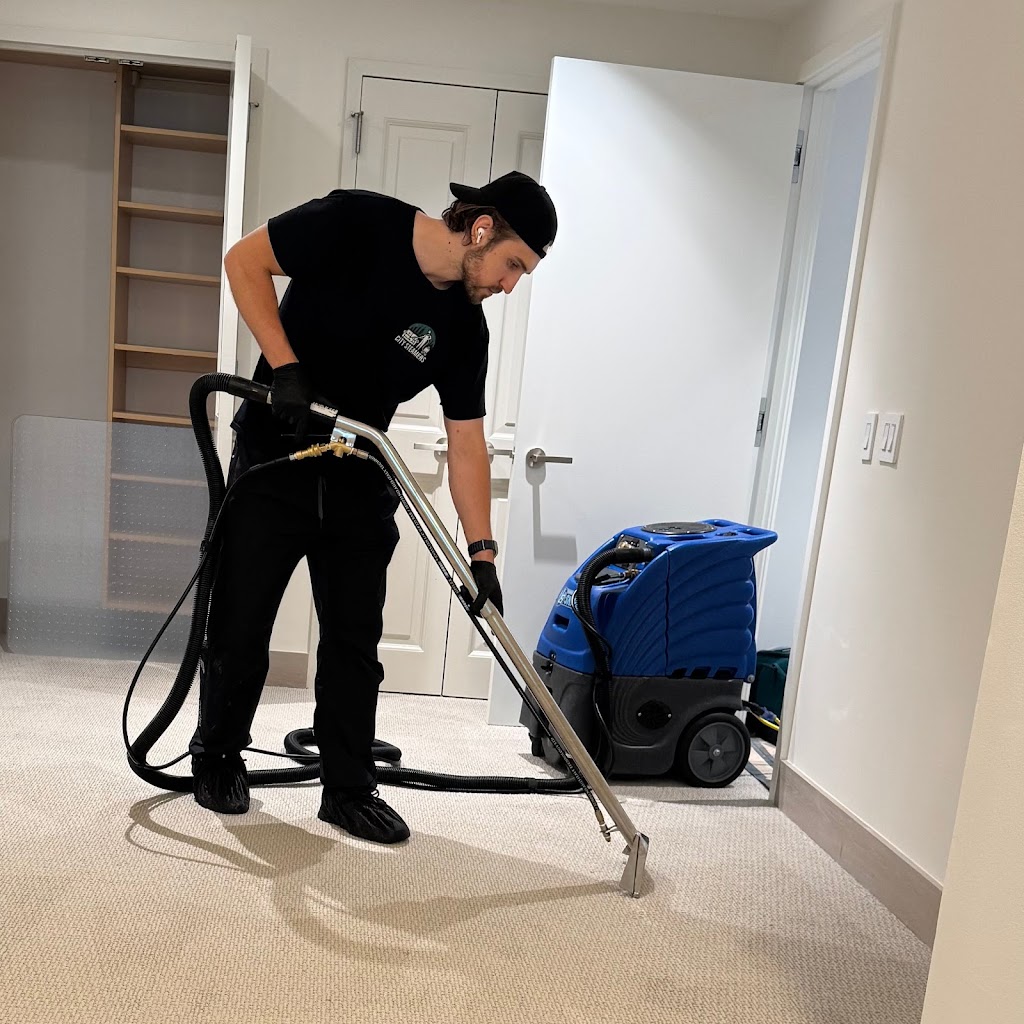 Furniture cleaning proccess