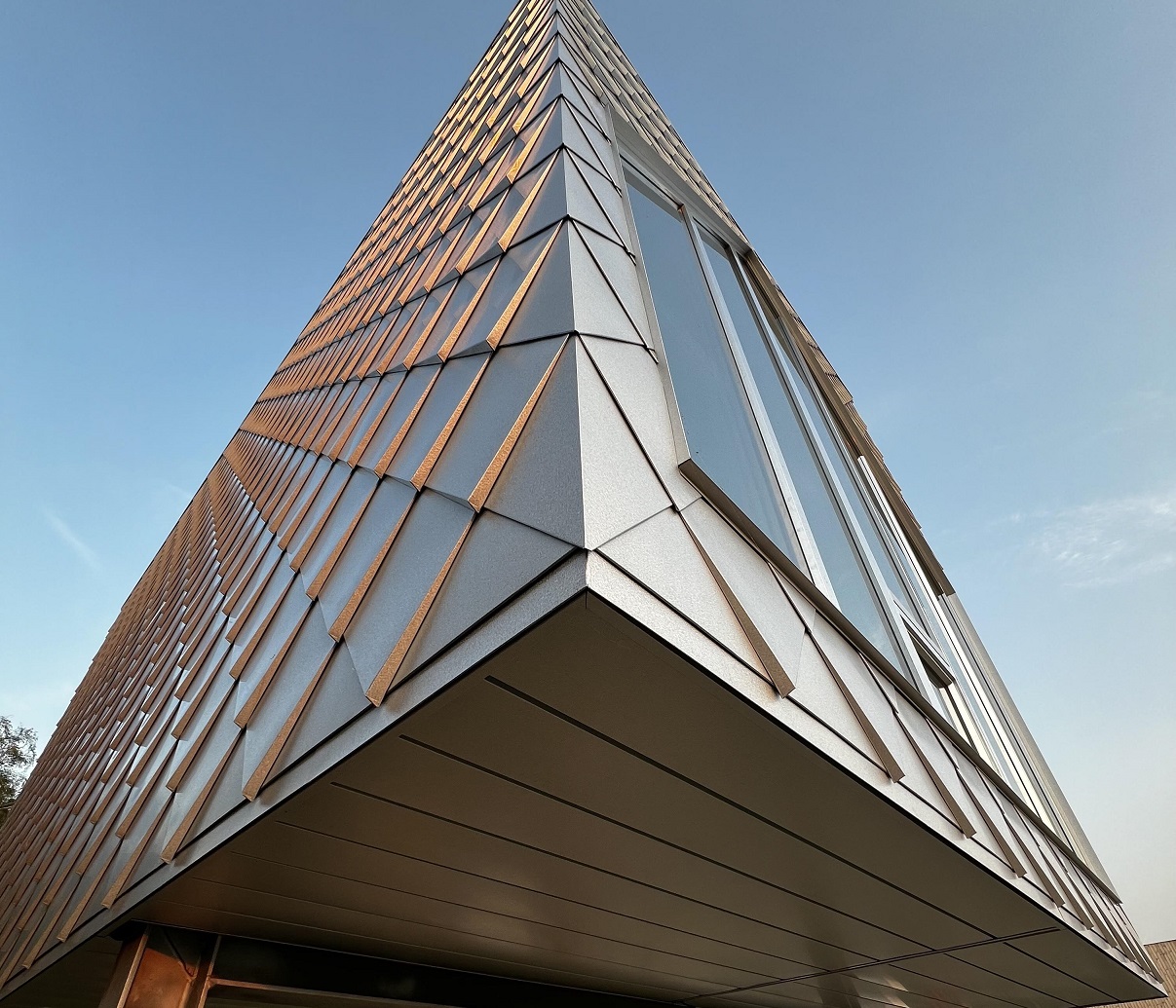 Portfolio Image