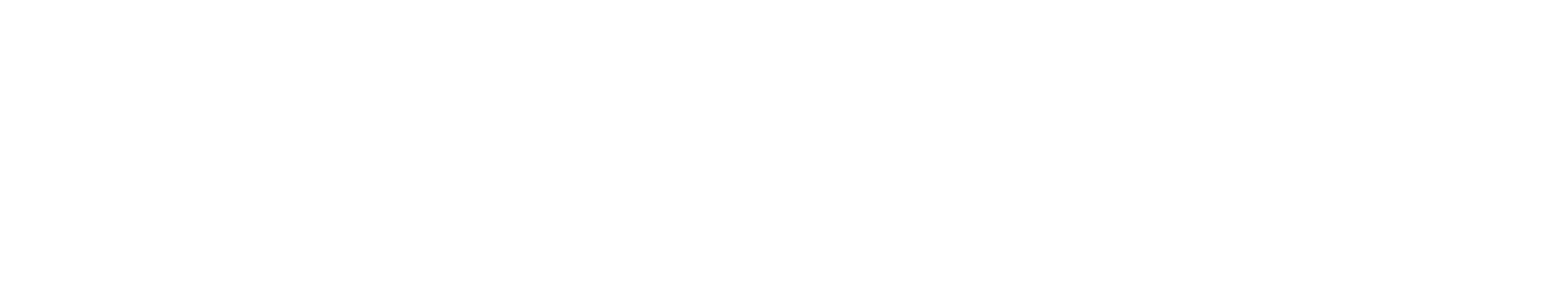 2020INC logo