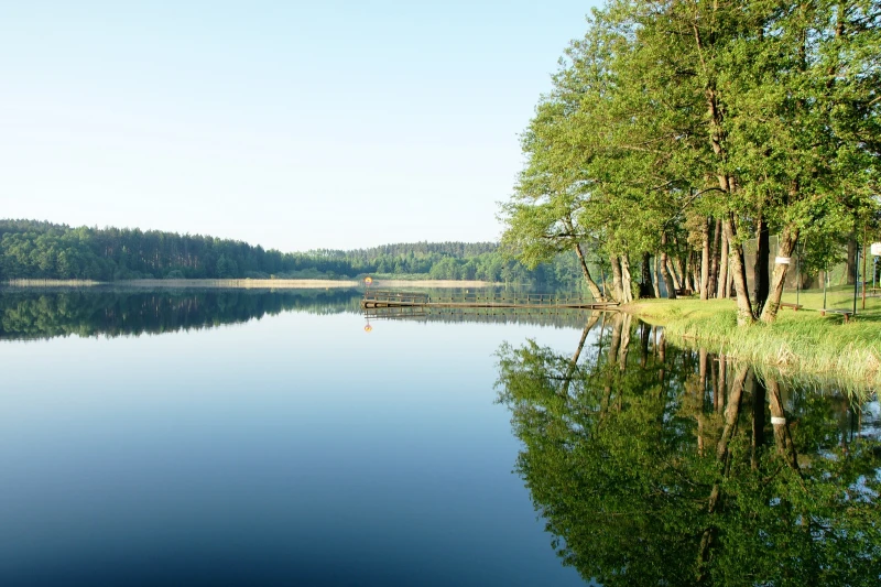 Jezioro Pluszne - brzeg naprzeciwko wsi Pluski