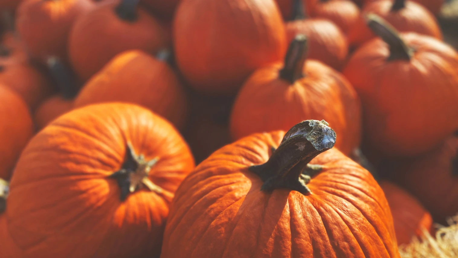Halloween in Masuria