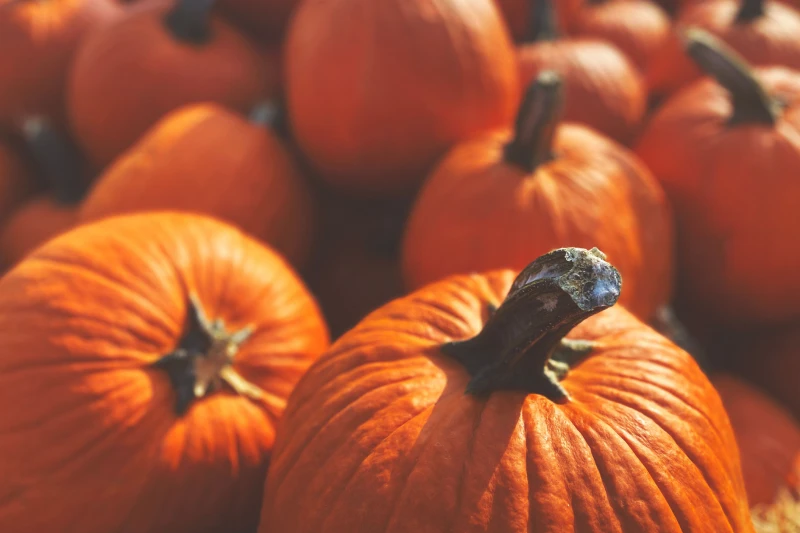 Halloween in Masuria