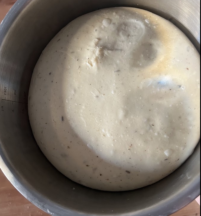 Dough after first proofing