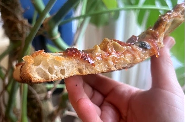 Same day sourdough pizza
