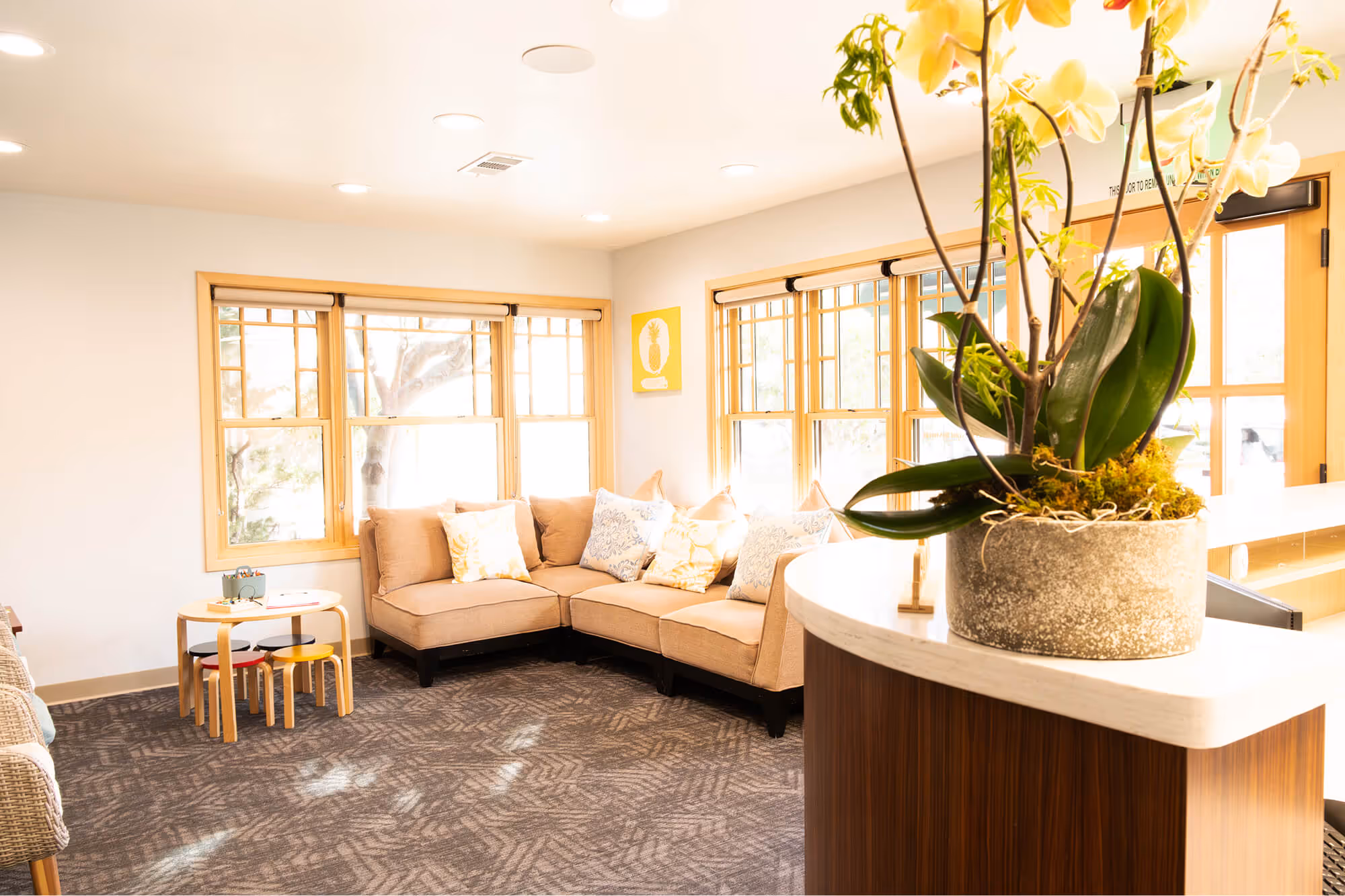 A living room filled with furniture and lots of windows.