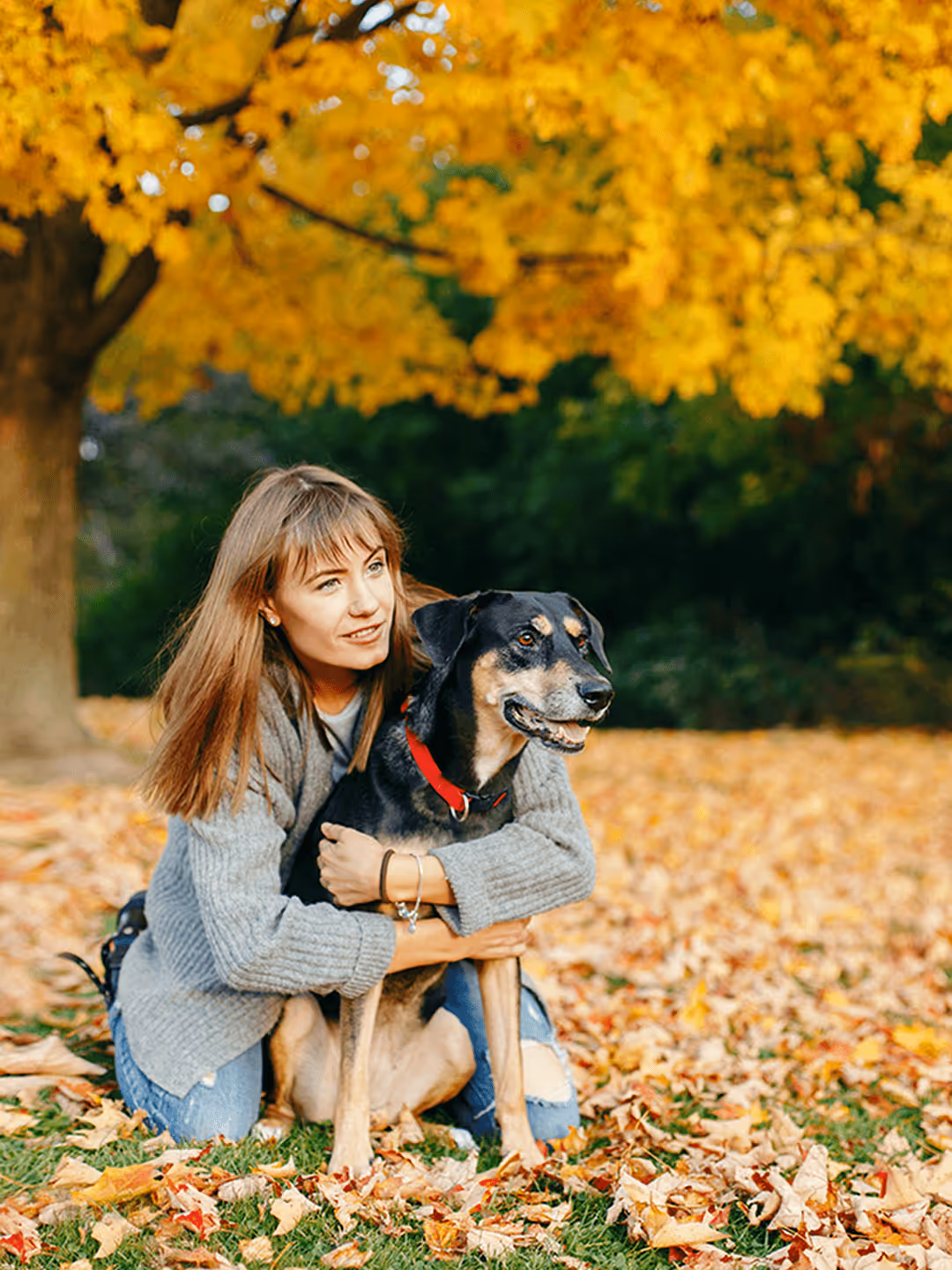 Eine Frau umarmt ihren Hund