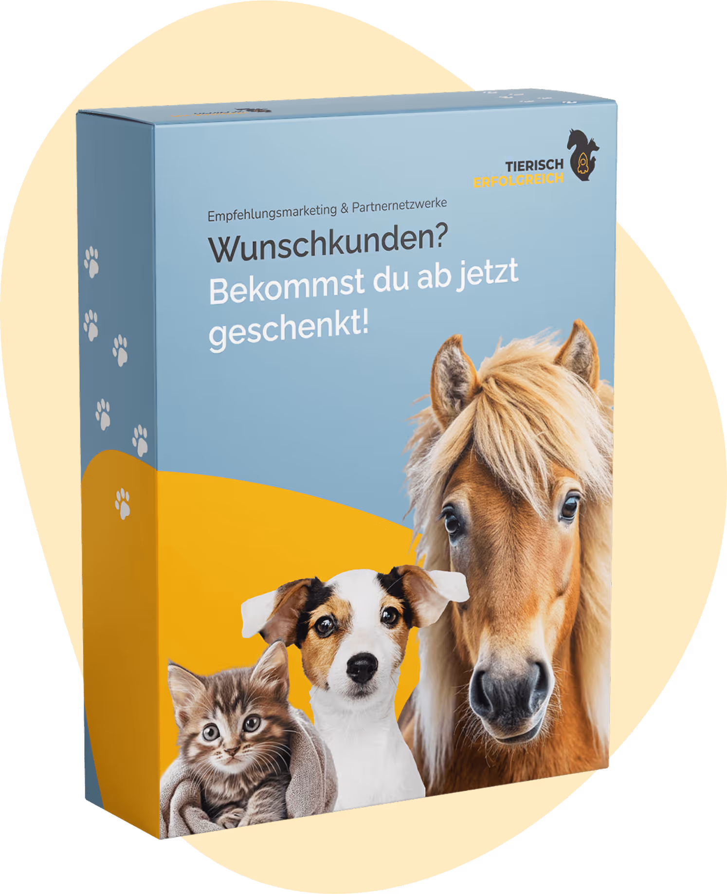 Kurs Empfehlungsmarketing Box
