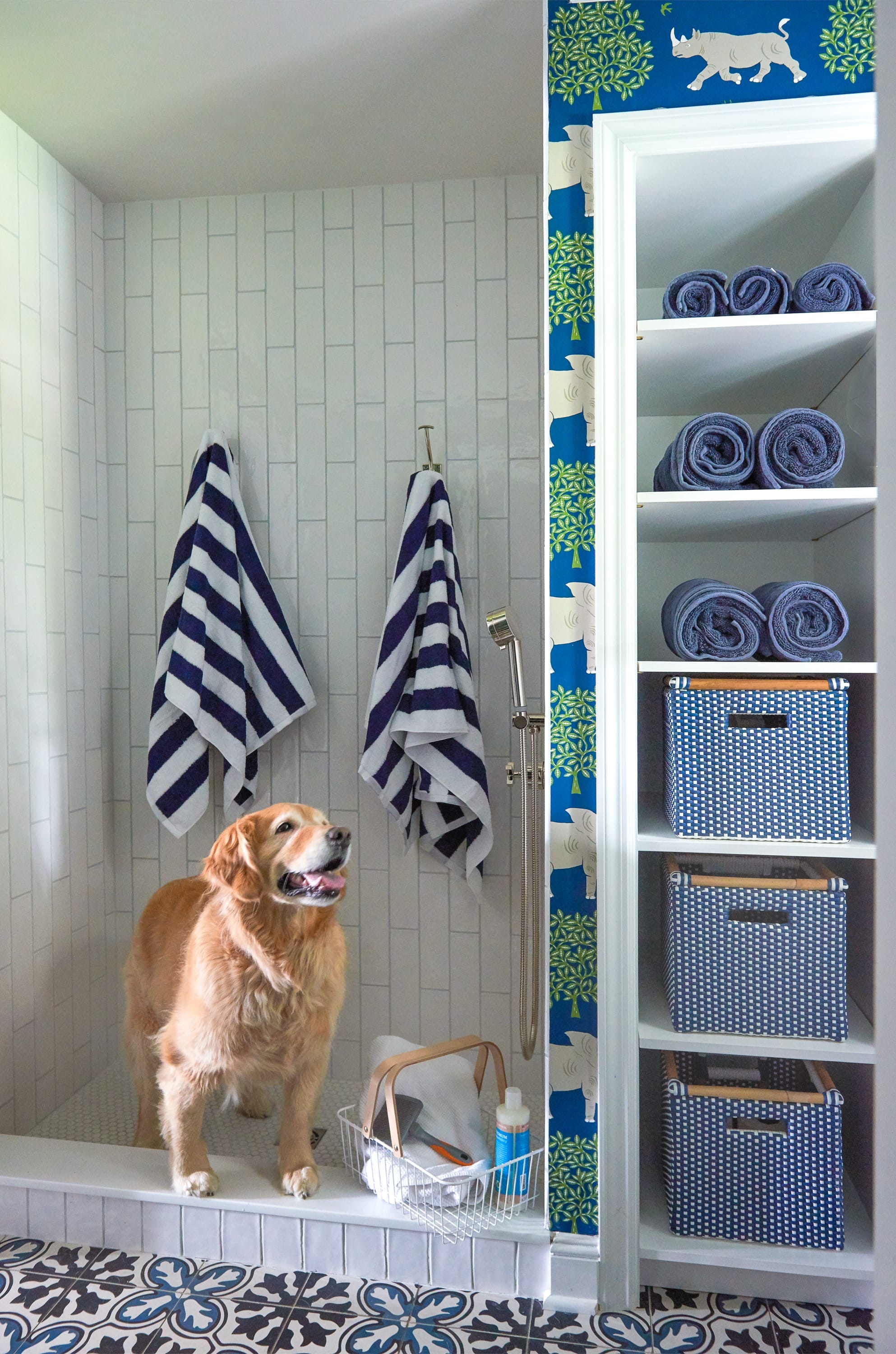 Dog sitting in mudroom with striped towels.